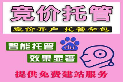 案例分析：如何选择优质的竞价推广公司